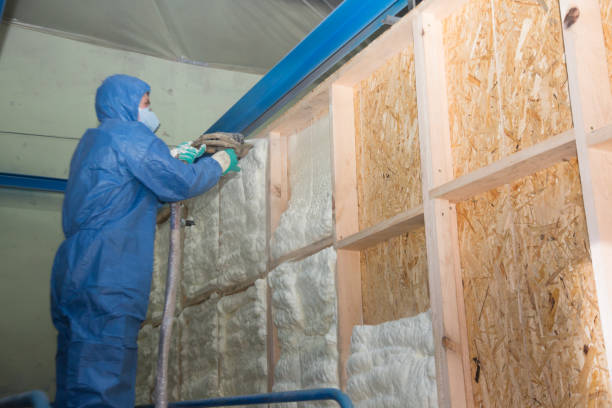 Best Spray Foam Insulation  in Hockessin, DE